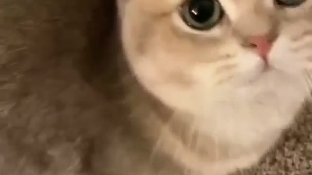 This is me when I’m hungry