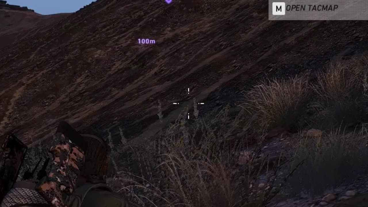 Tom Clancy Ghost Recon Wildlands Shorts