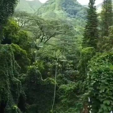 Visit Mother Nature and Recharge