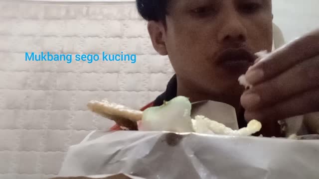 Mukbang sego kucing