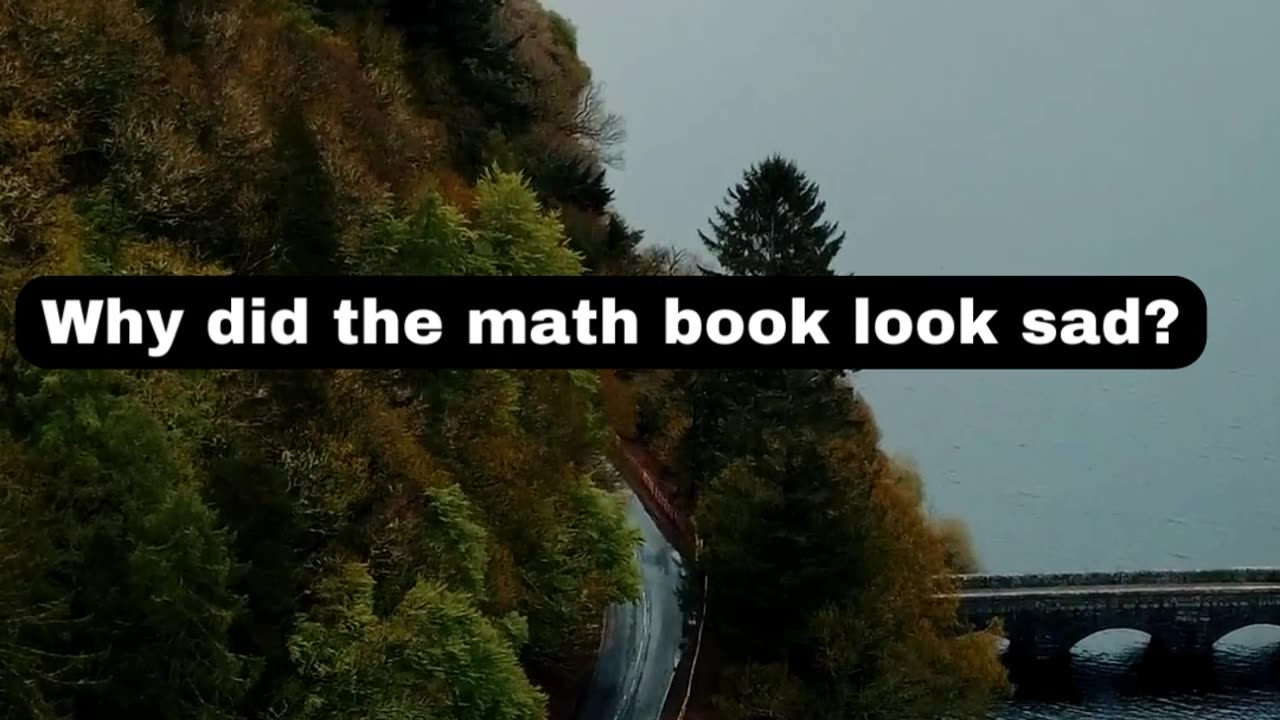 Dad Jokes Math Book