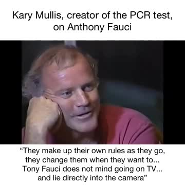 Kary Mullis Creator of PCR test on Anthony Fauci
