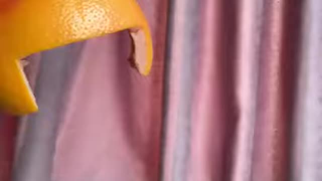 funny cat,cat in a bucket