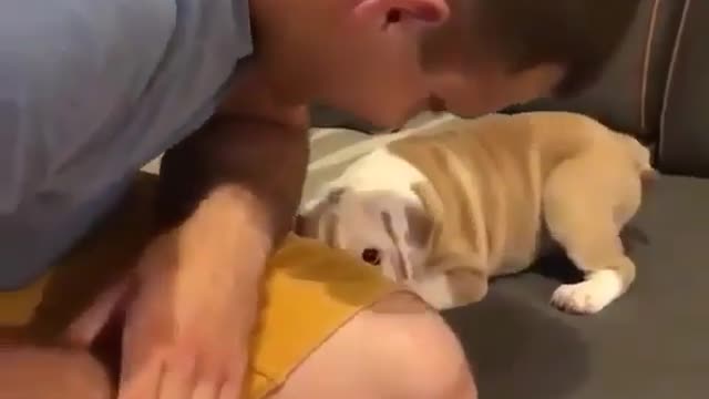 A dog that likes playing with toys