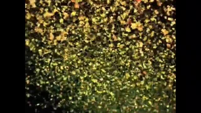 Different color video