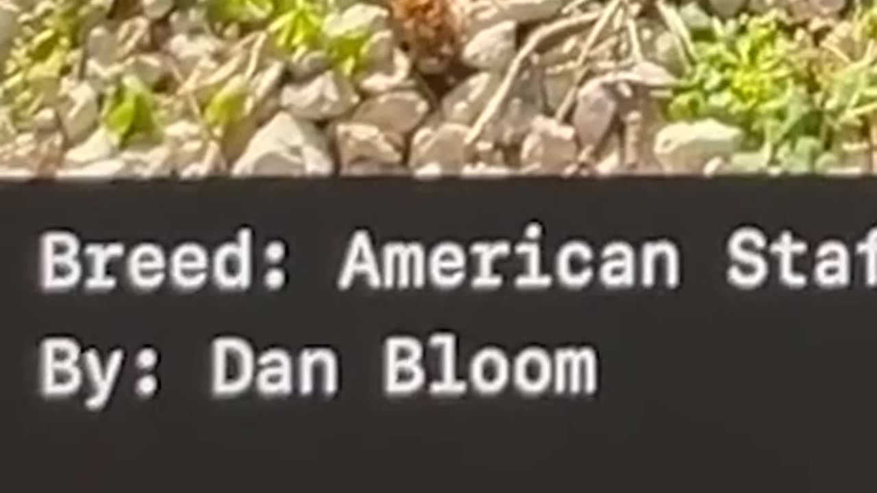 Escape the simulation