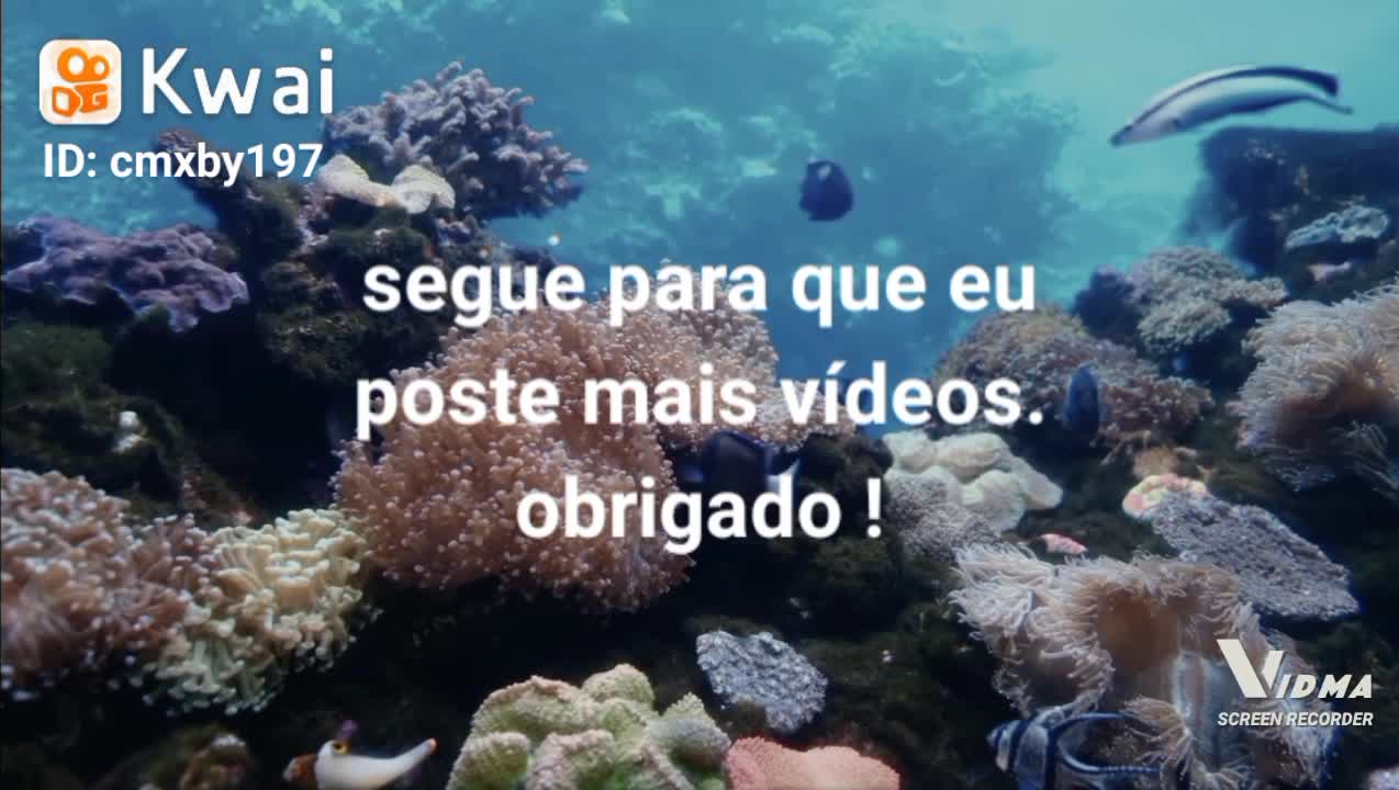 Game play vida marinha entre outros