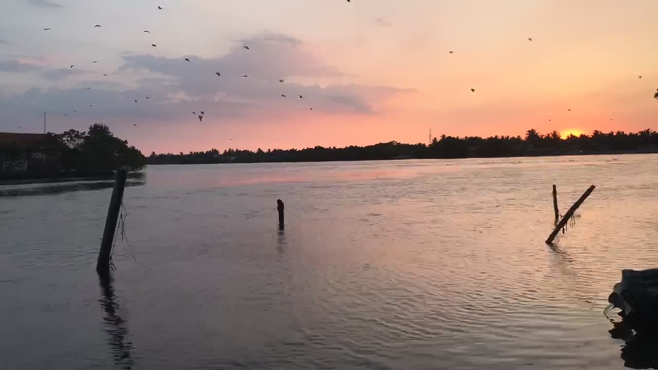 Sunset at negombo lagoon