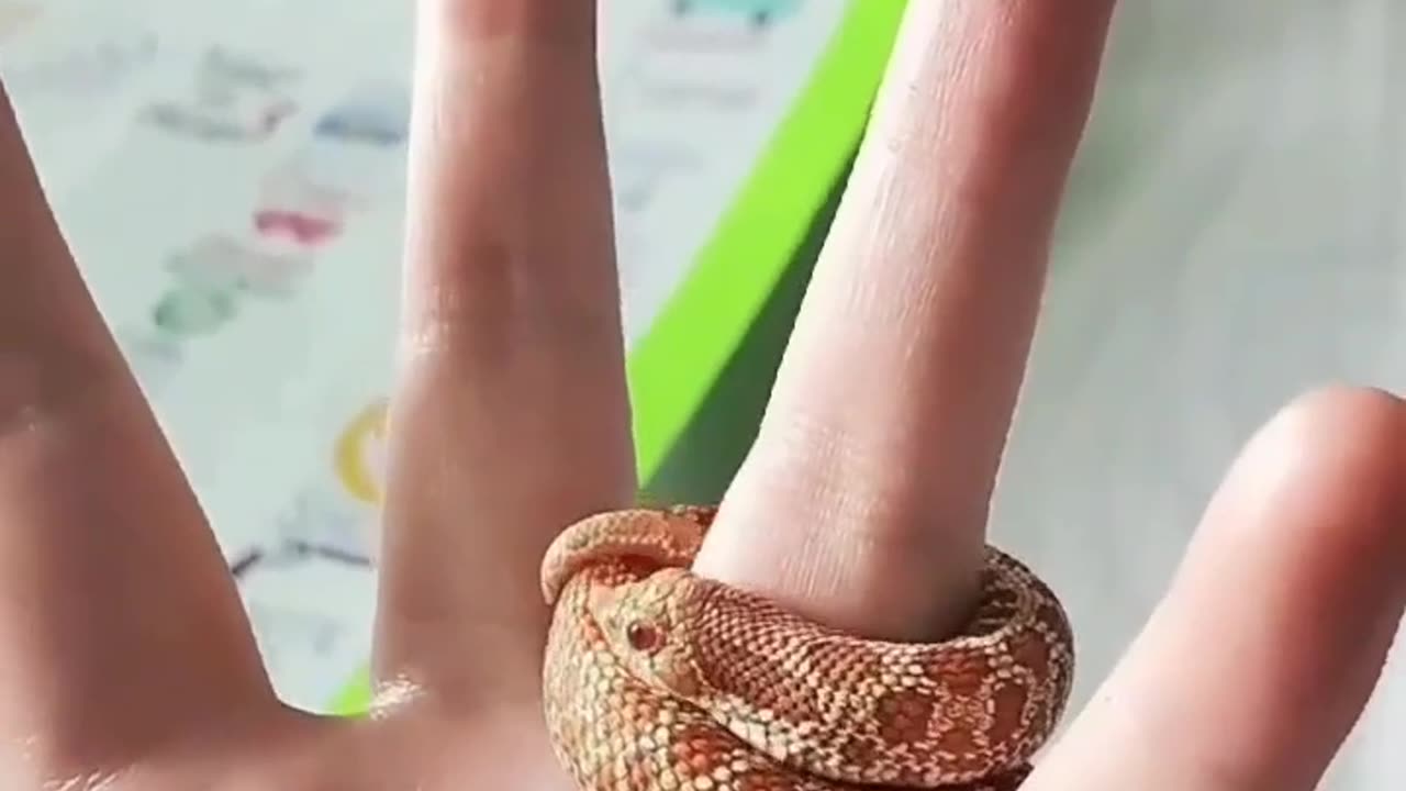 snake ring