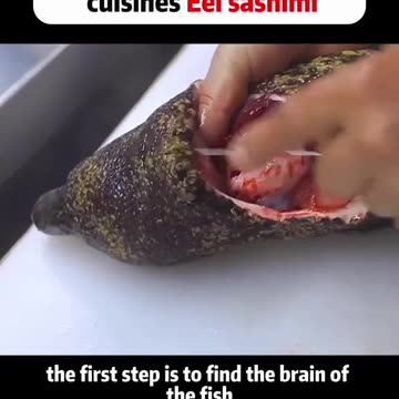 World cruelties cuisines eel sashimi