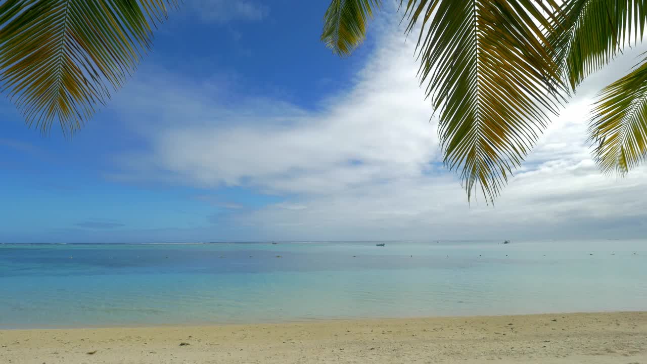 Gentle breeze across tropical sand