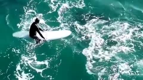 25# Surfingwithmedolphinsmartseaamazingbeach#