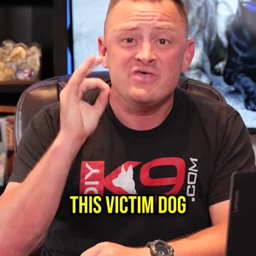 Aggressive Rottweiler Attack and How It Could Have Been Avoided