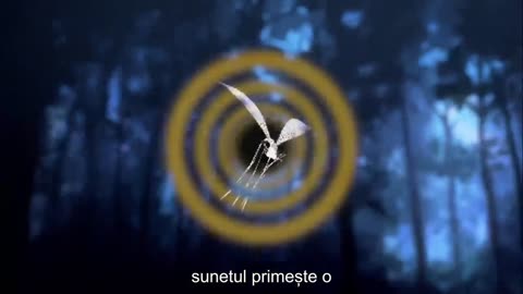 Impactul extraordinar pe care îl are sunetul asupra vieții tale de zi cu zi