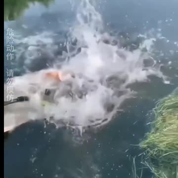 Two friends catching fish 🐟😄 very interesting.