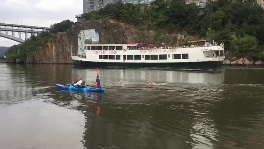 El santandereano que dio la vuelta a nado a la isla de Manhattan