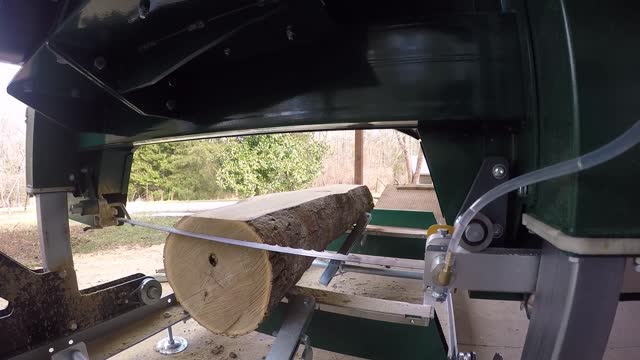 Milling Beech Log