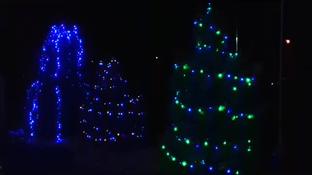 Cool illuminated trees