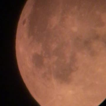 Super moon August 1, 2023. We busted out laughing.