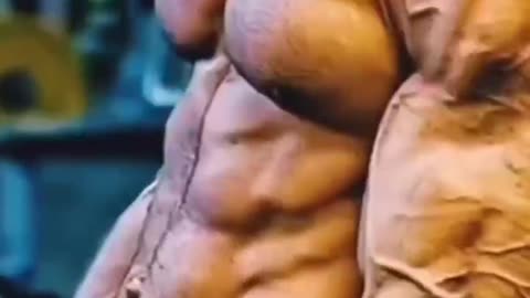 Gym fitness workout