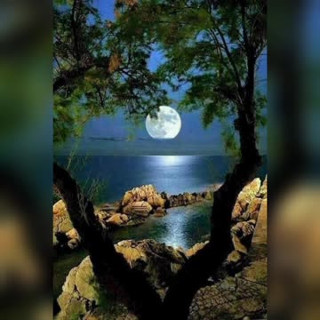 Nature beautiful picture 🖼️