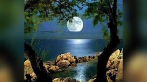 Nature beautiful picture 🖼️