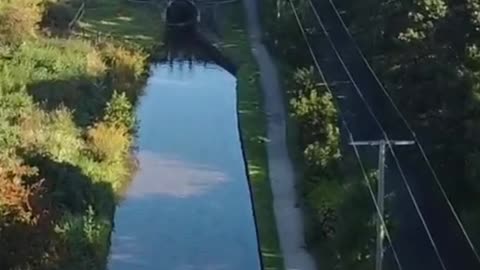 Mothernature