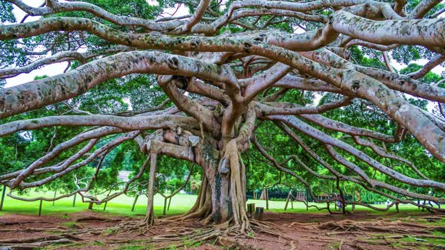 Most Beautiful Places In The Srilanka