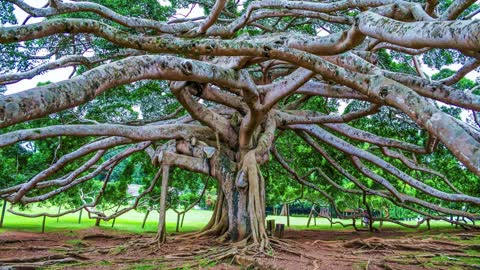 Most Beautiful Places In The Srilanka