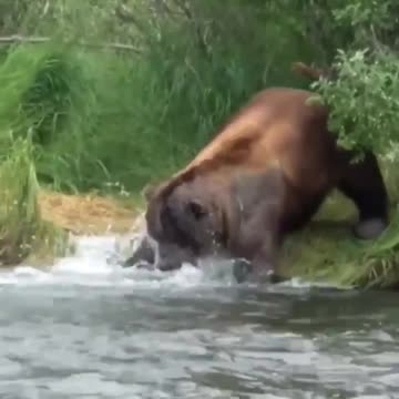 This is cool fishing!