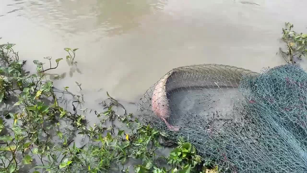 First Time Girl Cast Net Fishing DEFEATED By MONSTER Fish!-3