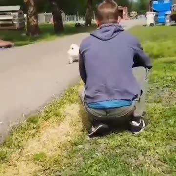 Coração...é o que salva o Planeta, e não hipocrisia de pessoas!!!