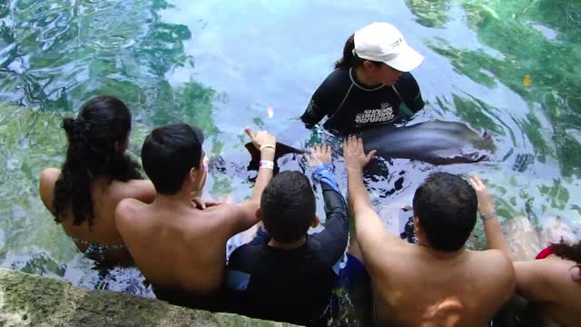 Making a cuddle on the shark