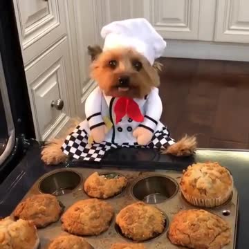 Someone is hungry? really-really hungry