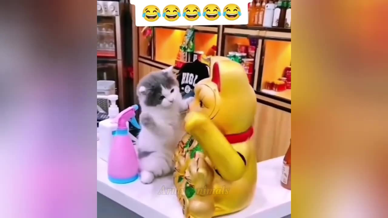 Funny cats and dogs video πΆπΉ Funniest animals π