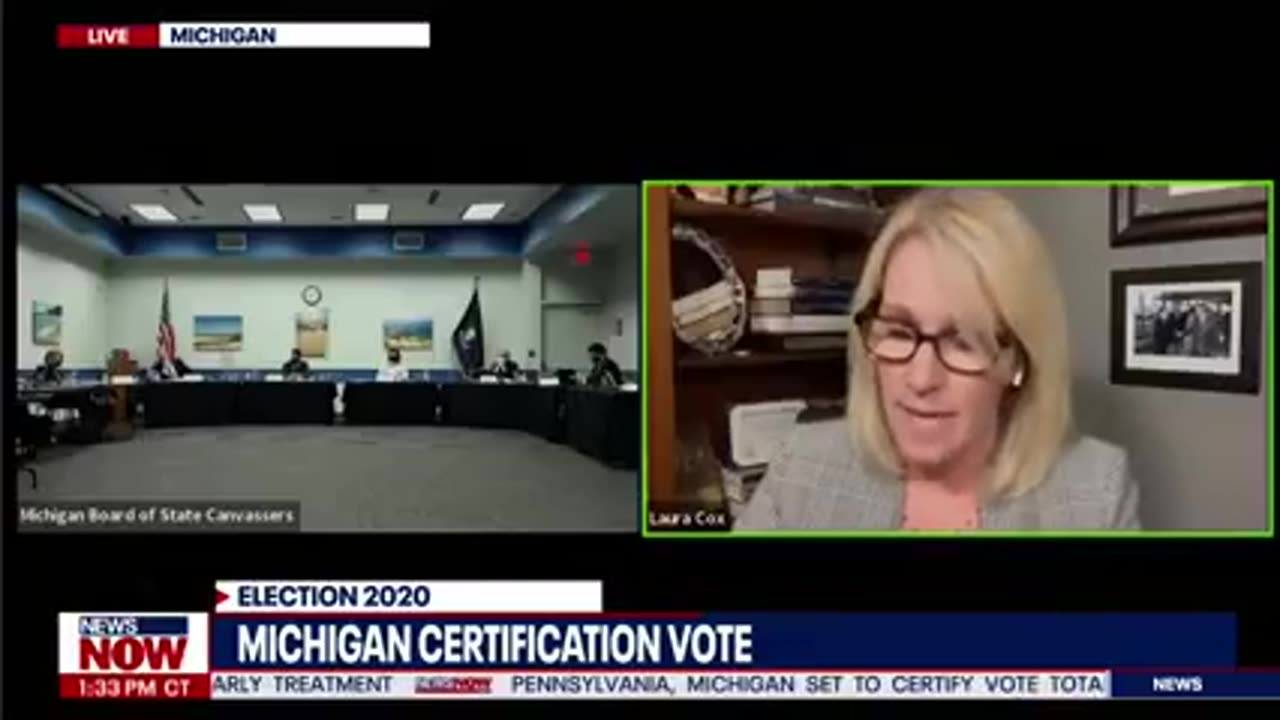 2020 Michigan GOP Chair Urges Canvassers To Delay Certification Vote