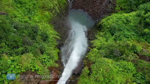 French Caribbean Island by Drone-4K Nature Relax