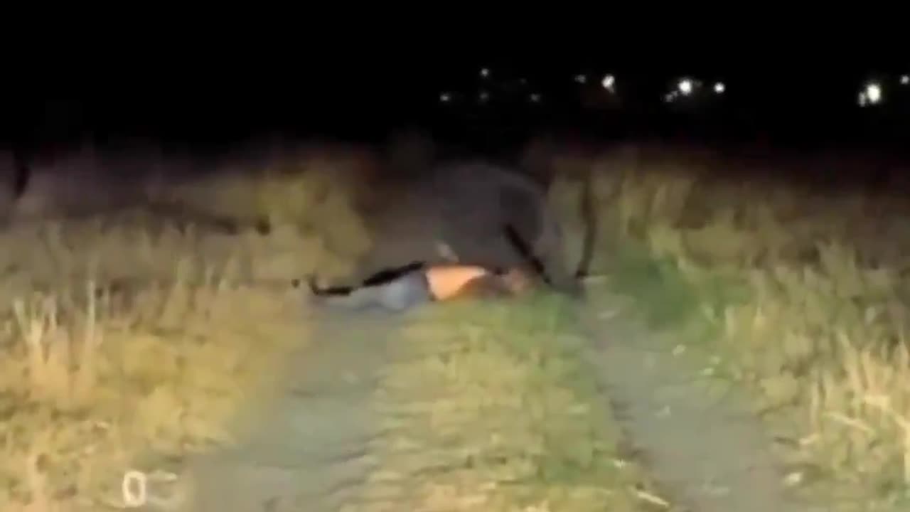 Alleged unedited Clip of a mysterious creature in #Mexico. This is NOT A.I.