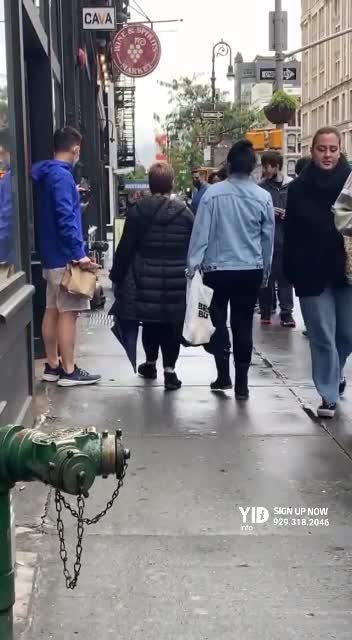 The NYPD robot Digidog was spotted strolling thru Manhattan