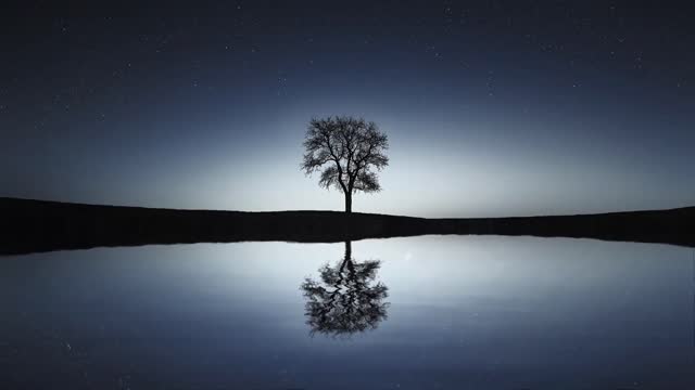 Deep Sleep Music • Miracle Tone Healing • Meditation • Relaxing Music • Stress Relief