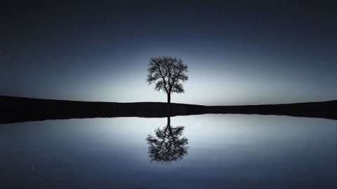 Deep Sleep Music • Miracle Tone Healing • Meditation • Relaxing Music • Stress Relief