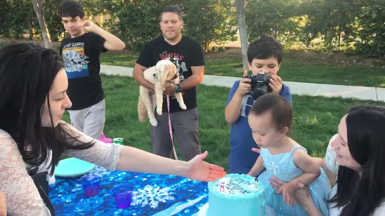 Scarlett Birthday