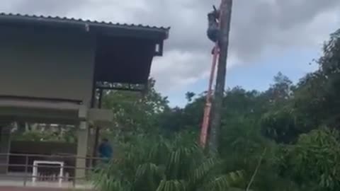 That’s why you hire a professional… not your drunk cousin Tony..!