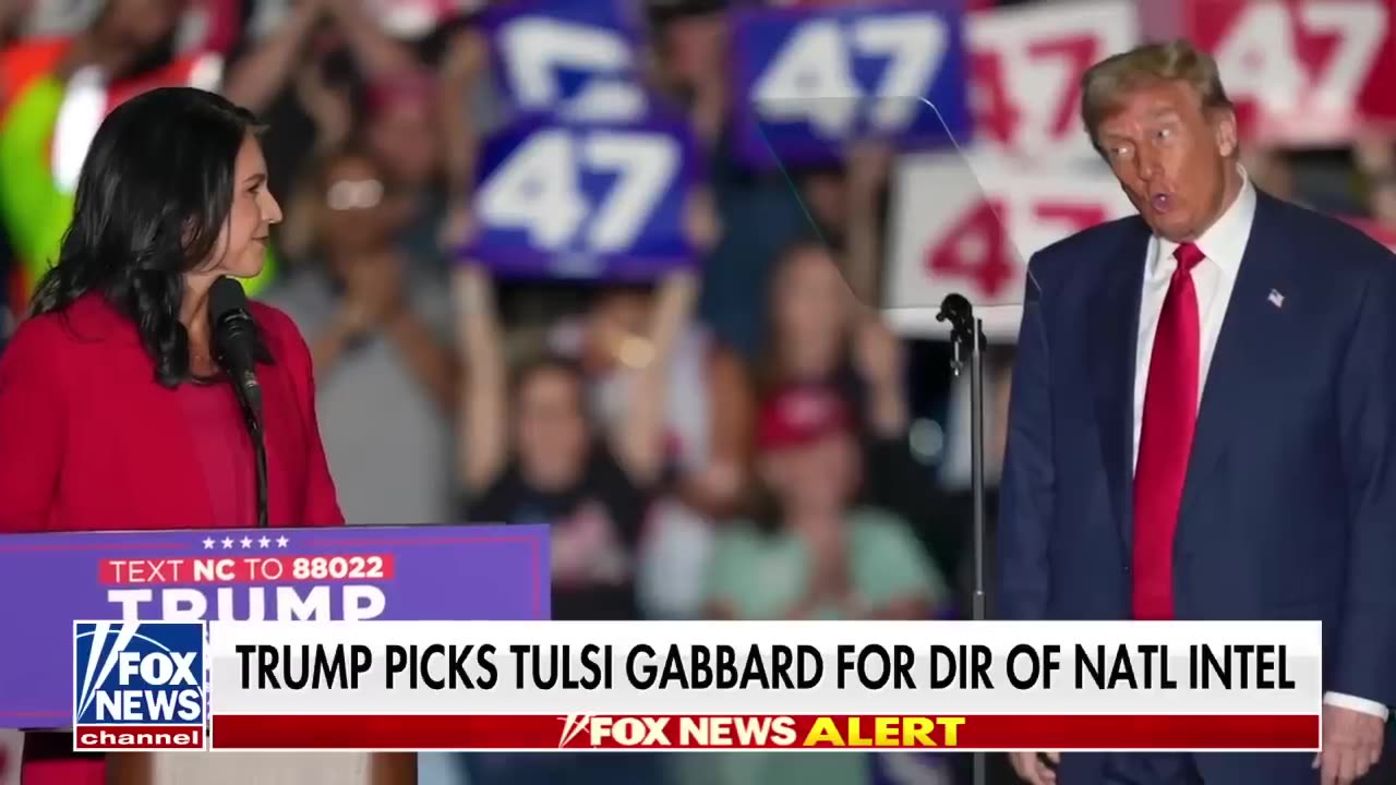 BREAKING NEWS Trump picks Tulsi Gabbard to be Director of National Intelligence