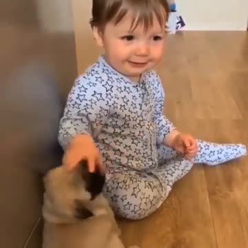 Playing cute puppies with cute babes(Nice video)