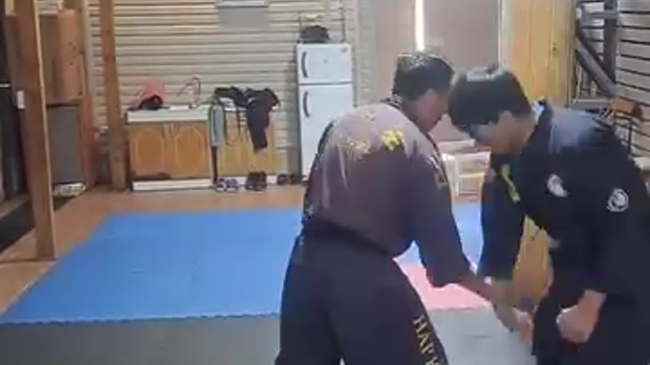 Hapkido