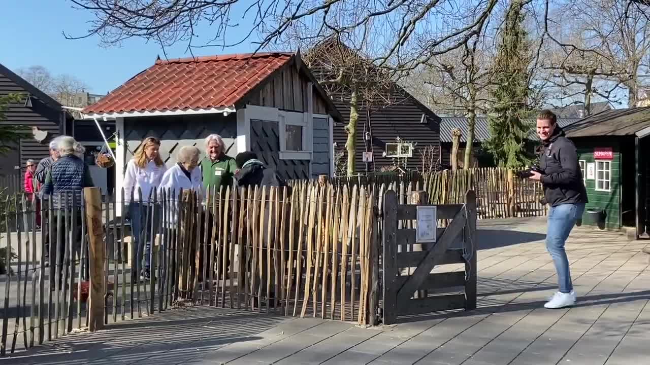 Prinses Beatrix aan de slag op kinderboerderij