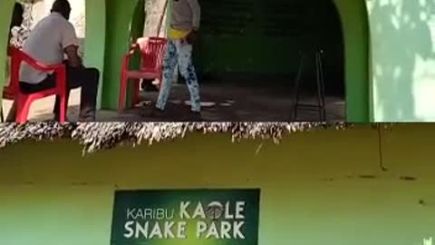 Snake park