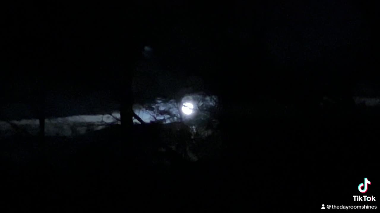 November 15, 2025 Supermoon