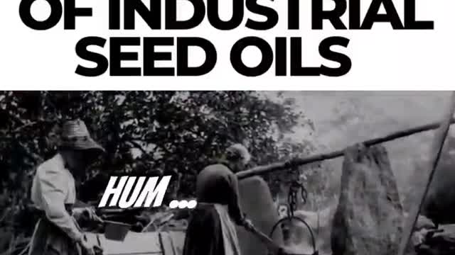 Dark History of Industrial Seed Oils ~